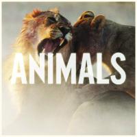 Animals (Remixes)