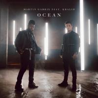 Ocean (David Guetta Remix)