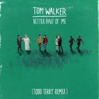 Better Half Of Me (Todd Terry Remix)